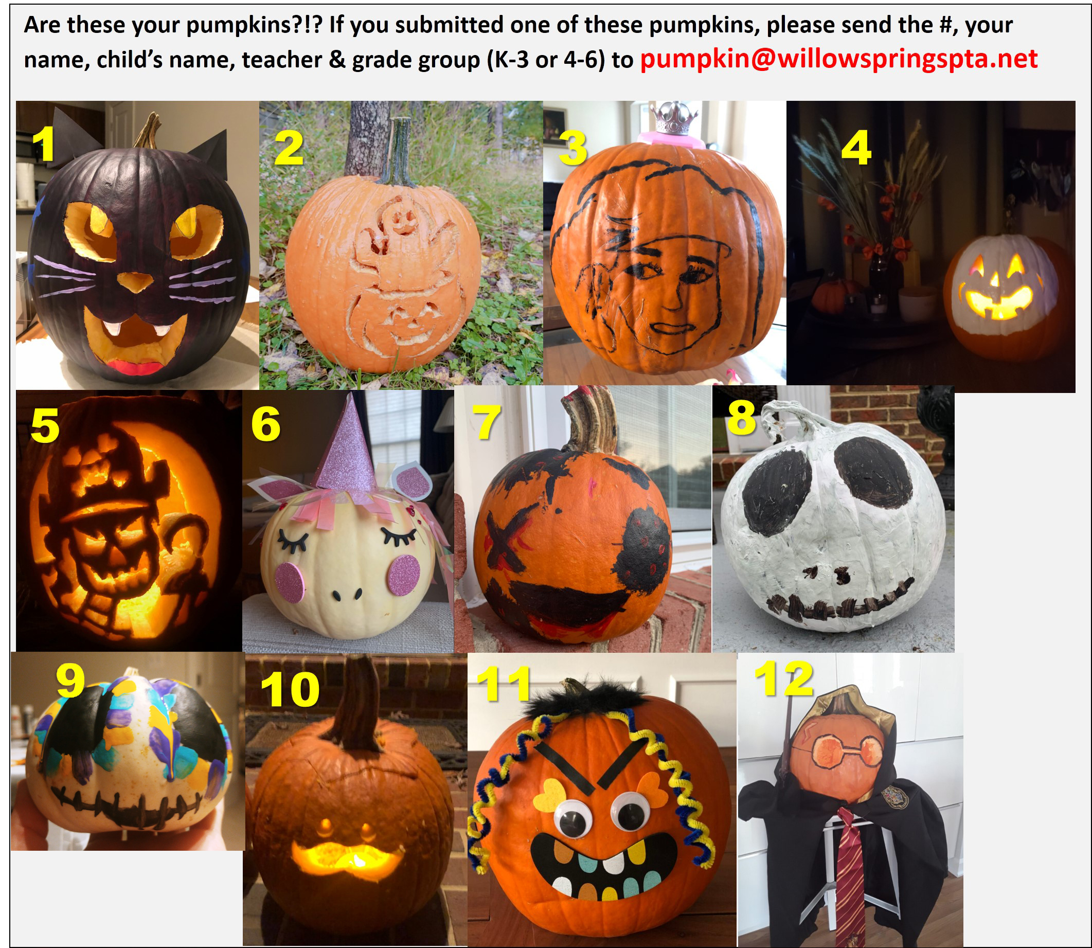 Find These Pumpkins! – Willow Springs PTA